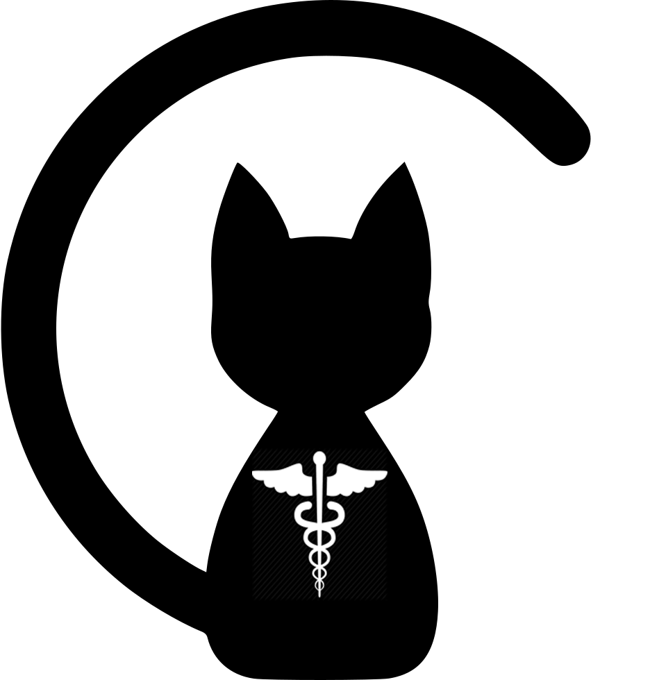MedCAT Logo
